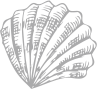 Shell icon