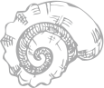 Shell icon
