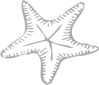 starfish icon